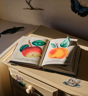 Sticker Book John Derian