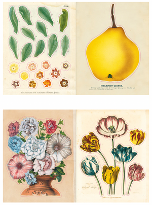 Sticker Book John Derian